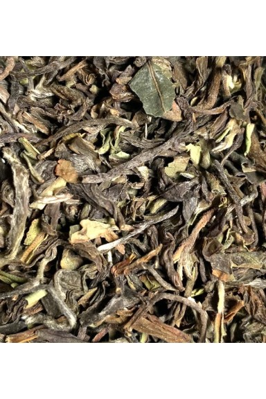 zoom thé noir Darjeeling
